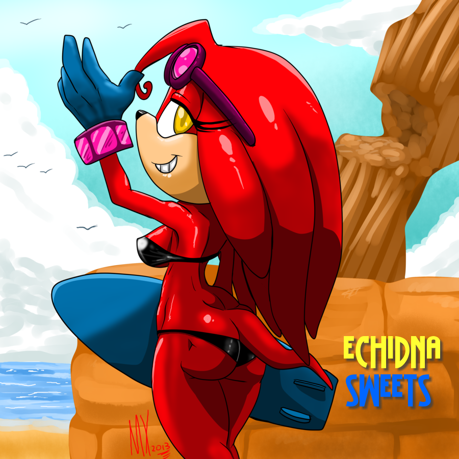 MonkeyXFlash Echidna Sweets Sonic the Hedgheog0