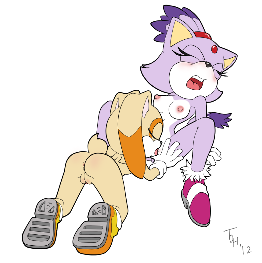 Blaze The Cat Nude