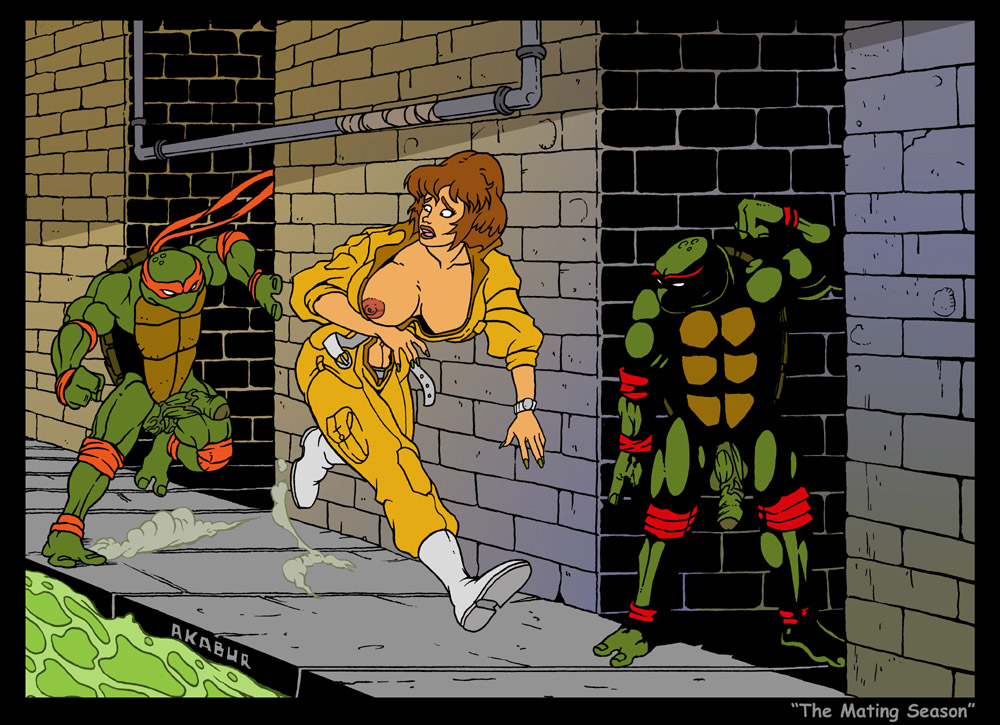 April O’Niel Classic Gallery (Original Teenage Mutant Ninja Turtles) .