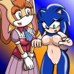 Gender Bender Sonic02