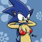 Gender Bender Sonic14