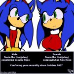 Gender Bender Sonic28