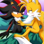 Shadow Tails Sonic the Hedgehog00