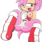 Amy Rose06