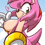 Amy Rose16