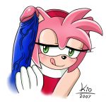 Amy Rose26