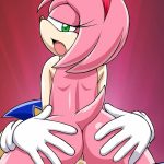 Amy Rose45