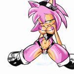 Amy Rose65