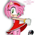 Sonic Amy07