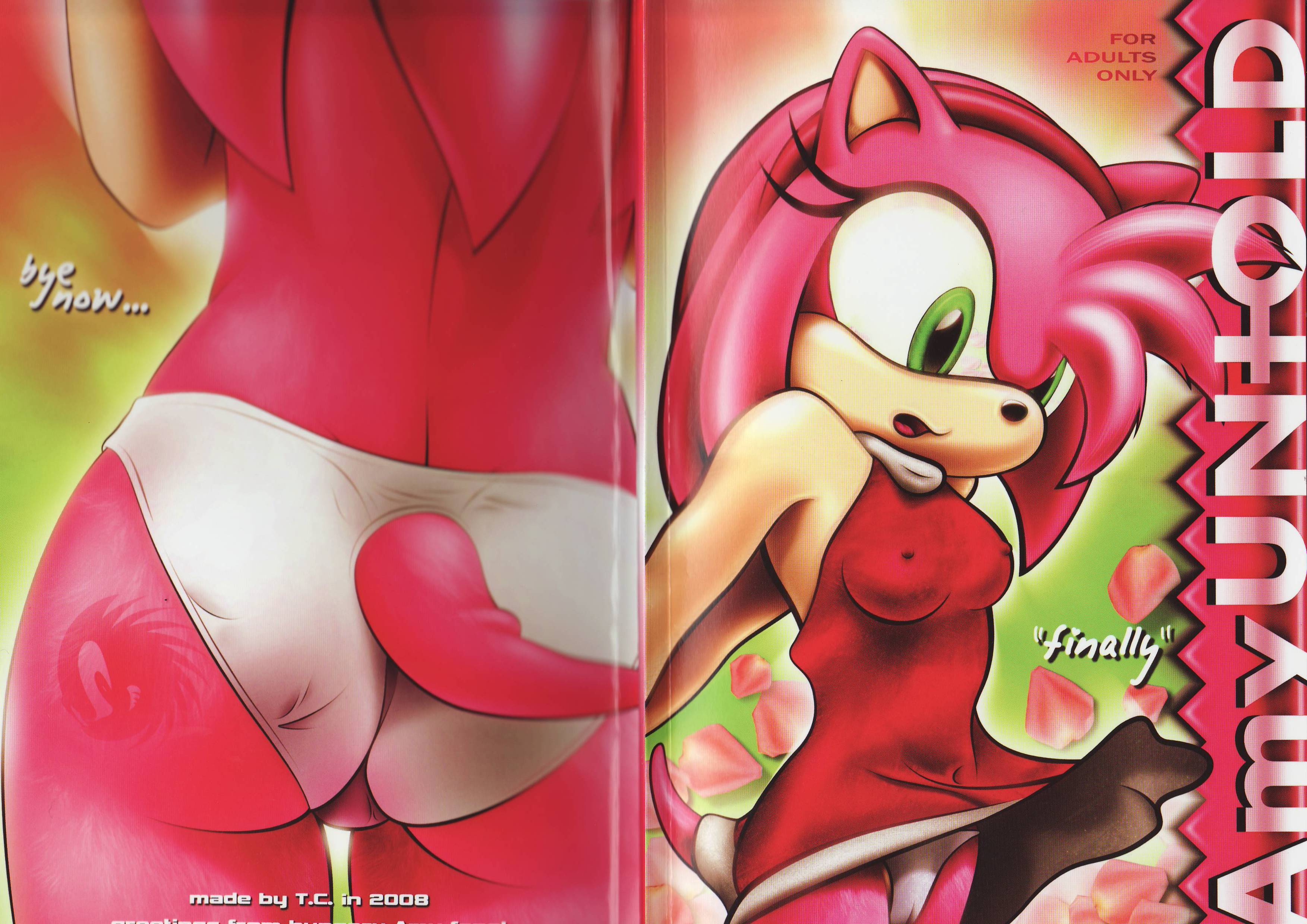 Amy Untold Sonic the Hedgehog English 116072 0001