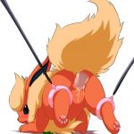 Eeveelution Extravaganza 199764 0010