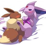 Eeveelution Extravaganza 199764 0011