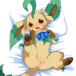 Eeveelution Extravaganza 199764 0076