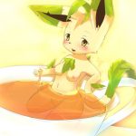 Eeveelution Extravaganza 199764 0080