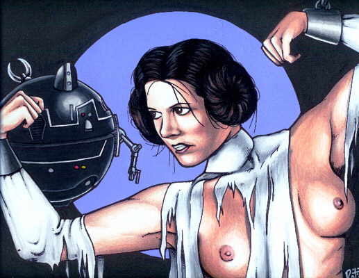 Star Wars Princess Leia Organa Solo Gallery.
