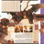 Final Fantasy XII Official Strategy Guide049