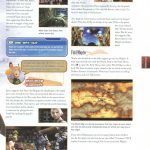 Final Fantasy XII Official Strategy Guide068