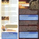 Final Fantasy XII Official Strategy Guide126