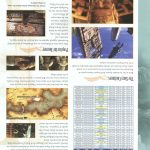 Final Fantasy XII Official Strategy Guide133