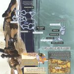 Final Fantasy XII Official Strategy Guide141