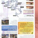 Final Fantasy XII Official Strategy Guide163