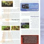 Final Fantasy XII Official Strategy Guide195