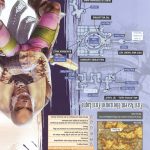 Final Fantasy XII Official Strategy Guide203