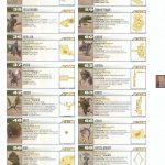 Final Fantasy XII Official Strategy Guide246