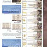 Final Fantasy XII Official Strategy Guide247