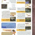 Final Fantasy XII Official Strategy Guide251