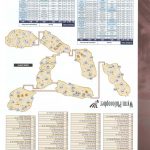 Final Fantasy XII Official Strategy Guide253