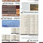 Final Fantasy XII Official Strategy Guide255