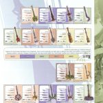 Final Fantasy XII Official Strategy Guide265