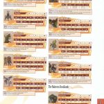 Final Fantasy XII Official Strategy Guide328