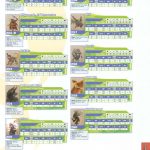 Final Fantasy XII Official Strategy Guide334