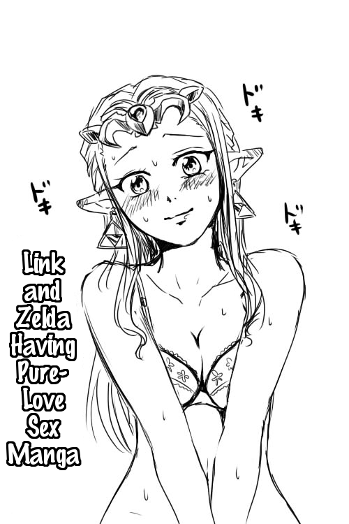 Link to Zelda ga Jun Ai Ecchi suru Manga Link and Zelda Having a Pure Love Sex Manga 00