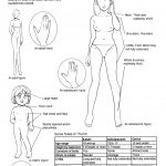 hikaru hayashi techniques for drawing female manga characters 015