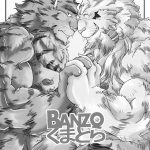 Bear Tail Chobikuma BANZO Kumatora English Nanajana Digital 02