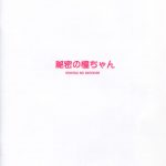 C86 Kamogawaya Kamogawa Tanuki Himitsu no Ako chan Saki Achiga hen English ZERO VOID 23
