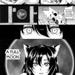 C86 Tiramisu Tart Kazuhiro Inrou Kakusei Lewd Wolf Awakening Touhou Project E 13