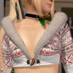 1011822 DEAD OR ALIVE Xtreme 3 Fortune 20161221235012