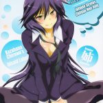 C83 bisaid Label Kazahana Chiruwo Aohashi Yutaka Forbidden Game Infinite Stratos English R 00