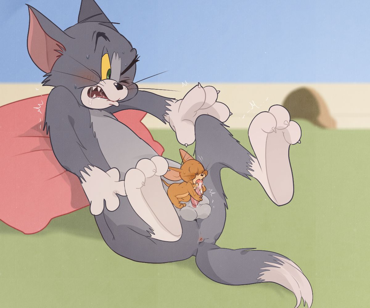 artist - atori (Tom and Jerry) .