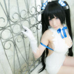 1053163 hestia24