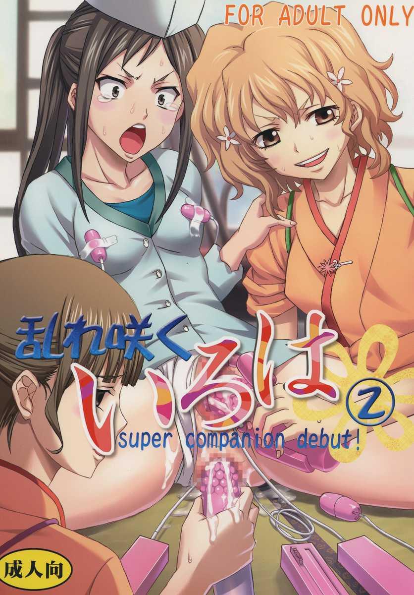 Read StRio Kitty Midaresaku Iroha 2 Super C