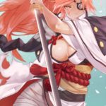 1071603 baiken xrd 1013