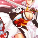 1071603 baiken xrd 1023