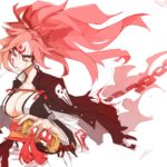 1071603 baiken xrd 1029