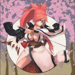 1071603 baiken xrd 1045