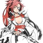 1071603 baiken xrd 1051